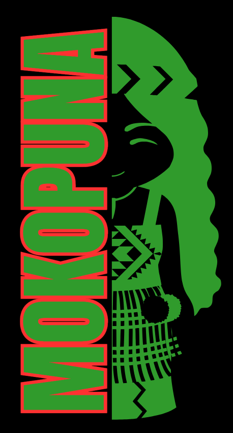Mokopuna Decisions Kōtiro (t-shirt)